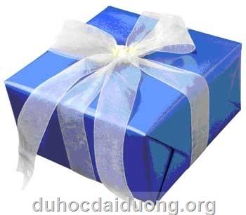 <font color= "red"><B>CHƯƠNG TRÌNH HỖ TRỢ HỌC SINH GIỎI</B></font>